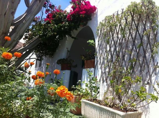 Villa Tranquila Orzola Εξωτερικό φωτογραφία
